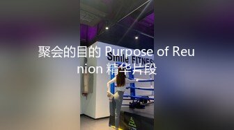 聚会的目的 Purpose of Reunion 精华片段