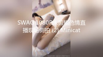 SWAG 1080P未剪辑色情直播现场侧拍 (2) Minicat