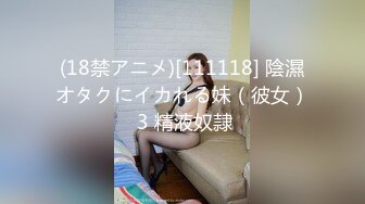 (18禁アニメ)[111118] 陰濕オタクにイカれる妹（彼女） 3 精液奴隷