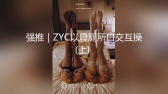 强推｜ZYC以晨厕所口交互操(上) 