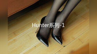 Hunter系列-1