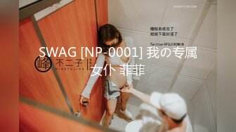 SWAG [NP-0001] 我の专属女仆 菲菲