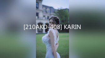 [210AKO-408] KARIN