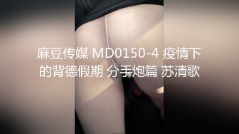 麻豆传媒 MD0150-4 疫情下的背德假期 分手炮篇 苏清歌