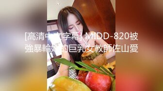 [高清中文字幕] MIDD-820被強暴輪奸的巨乳女教師佐山愛