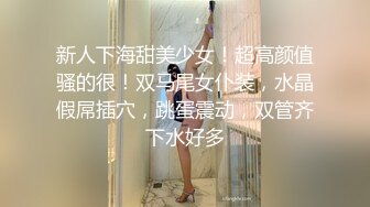 新人下海甜美少女！超高颜值骚的很！双马尾女仆装，水晶假屌插穴，跳蛋震动，双管齐下水好多