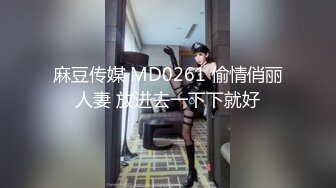 麻豆传媒 MD0261 偷情俏丽人妻 放进去一下下就好